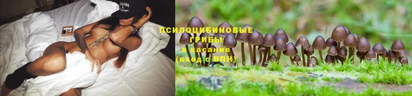 твердый Баксан