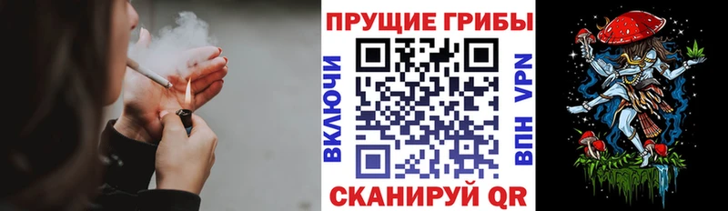 даркнет официальный сайт  Белозерск  Галлюциногенные грибы Psilocybe 